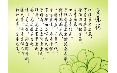 爱莲说简短清晰的读后感作文