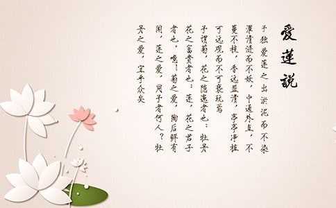 爱莲说作文(精华)