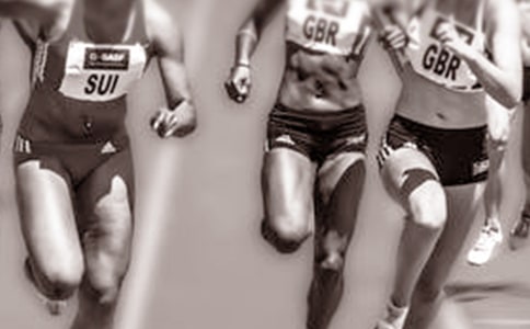 关于奥运会的作文（精选15篇）