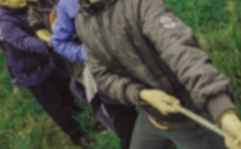 拔河比赛作文【推荐】