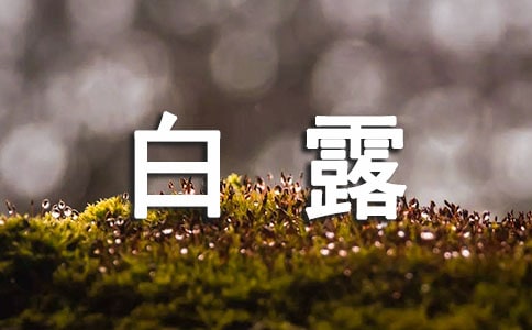 白露的习俗