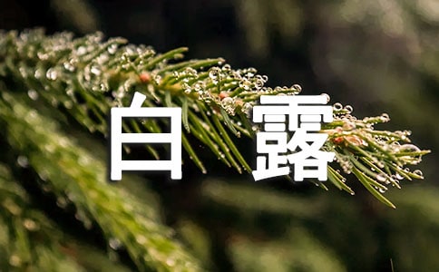 白露如何养生(实用)