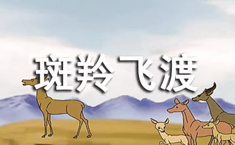 《斑羚飞渡》课堂实录