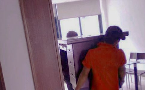 蚂蚁搬家看图写话【大全12篇】