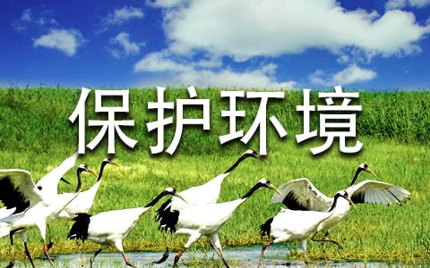 保护环境主题低碳手抄报