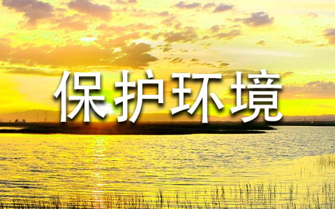 保护环境，人人有责作文