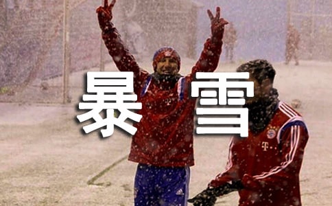 暴雪安全应急预案范文