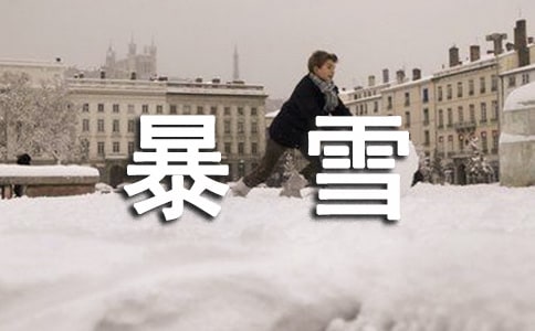 暴雪极端天气应急预案