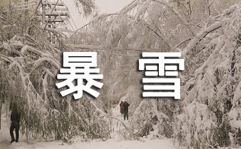 暴雪安全的应急预案