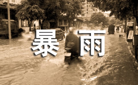 突如其来的一场暴雨小学作文500字