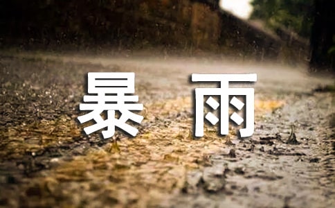 暴雨的作文(优)