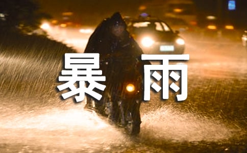 突如其来的暴雨作文