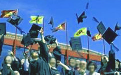 毕业感慨作文(6篇)