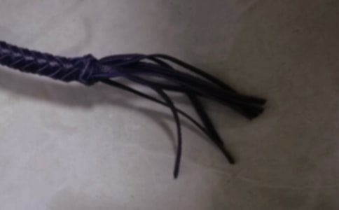 一生的鞭子作文