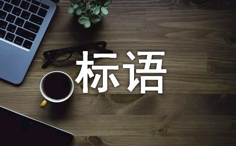 宣传创卫的标语