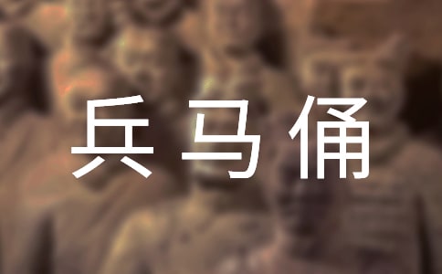秦兵马俑优秀说课稿范文