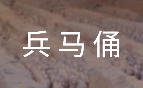 秦兵马俑 教案