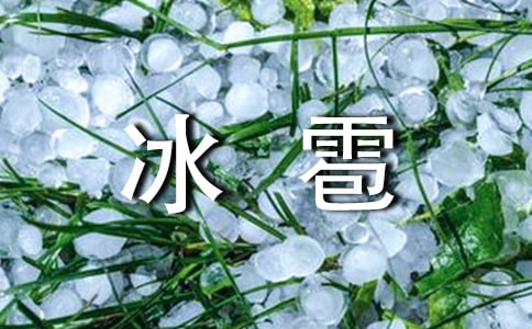 精选冰雹作文300字47篇