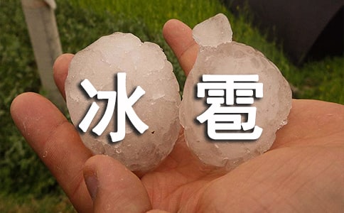 冰雹雨作文6篇