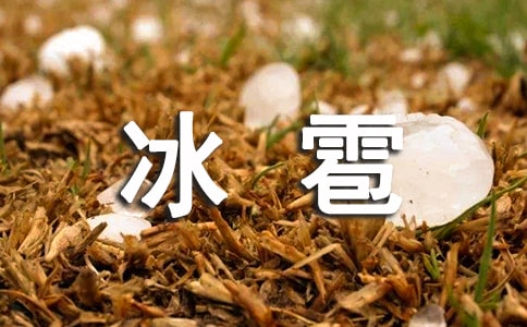 下冰雹了作文