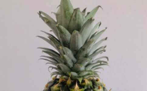 菠萝莓的功效与作用