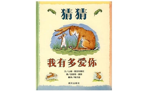 猜猜我有多爱你作文