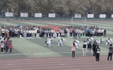我的乐园学校的操场作文600字（精选26篇）