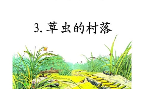 草虫的村落作文优秀【15篇】