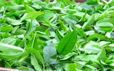 茶叶的妙用