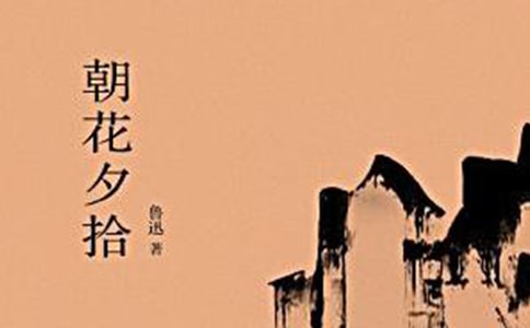 鲁迅朝花夕拾读后感400字