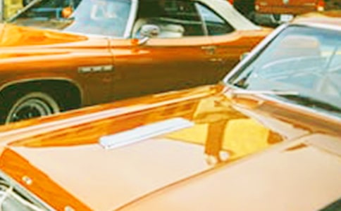车展活动结束后的心得体会