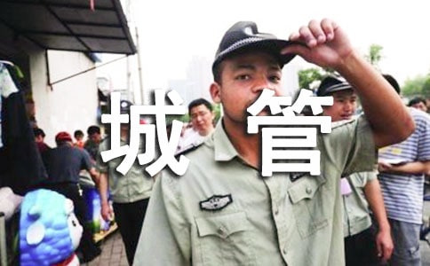 城管安全生产工作总结范文