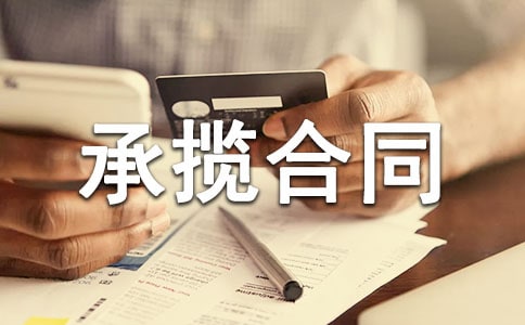 技术开发项目承揽合同