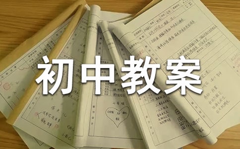 word初中教案（精选16篇）