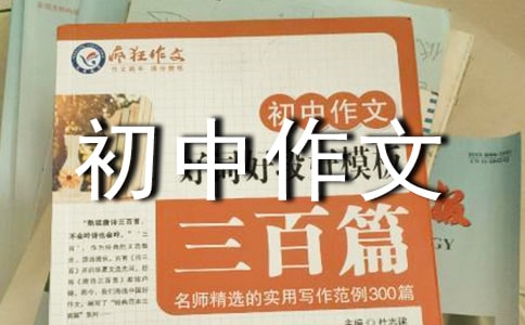 阳光路上作文600字初中作文（通用31篇）