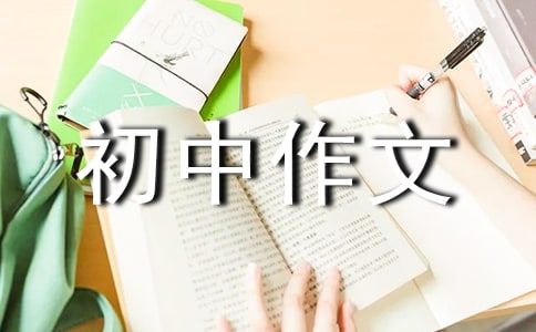 我心中的爱初中作文