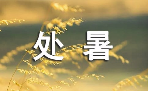 处暑节气喝茶养生有什么禁忌