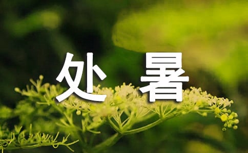 处暑的习俗与活动