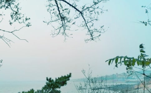 是春风作文