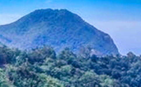 我的大山作文