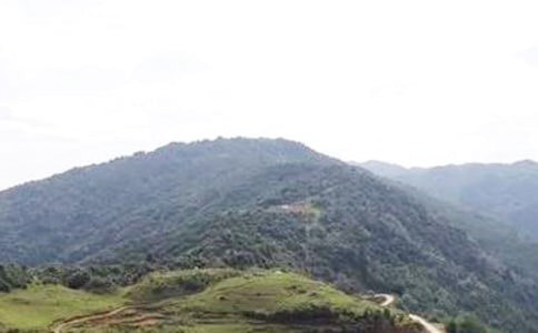 重庆城口吴显成大山深处养蜂好致富