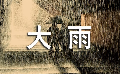 夏天大雨作文