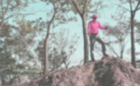 [通用]登山记作文