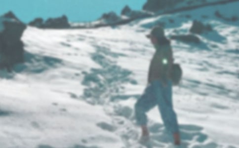 关于登山的作文（优选）