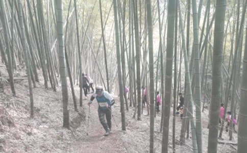 登山的作文[锦集15篇]