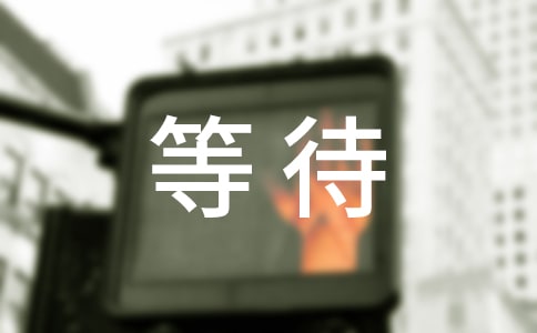 等待花开随笔