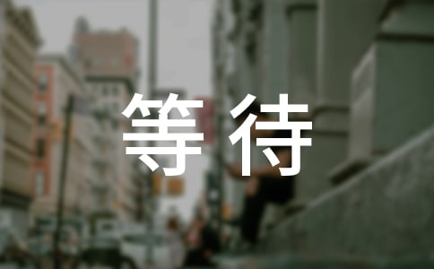 等待阳光温暖心中的雪美文随笔