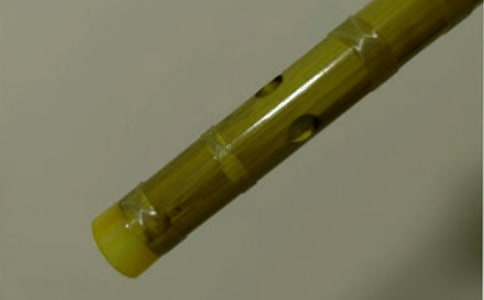 学吹笛子作文（通用56篇）