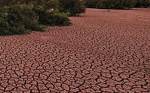 《地球在呻吟》读后感