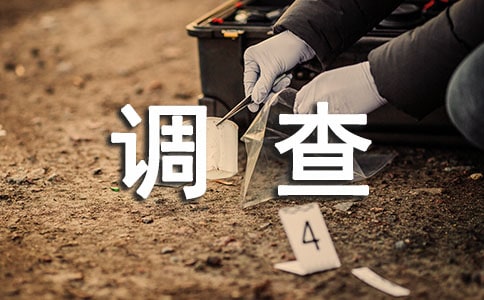 调查中的小插曲作文14篇